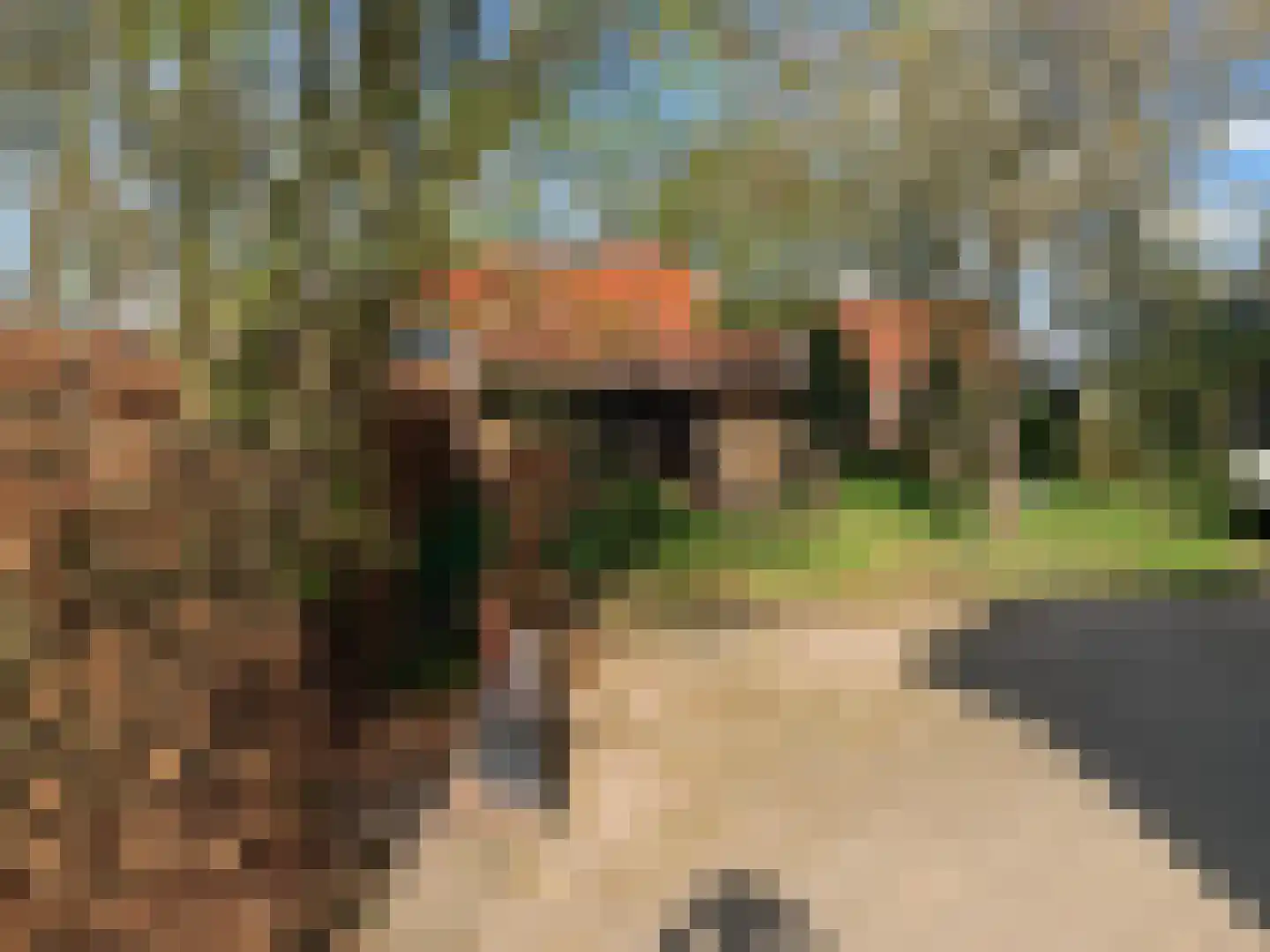 Nolderweg 4 Linde thumbnail 8