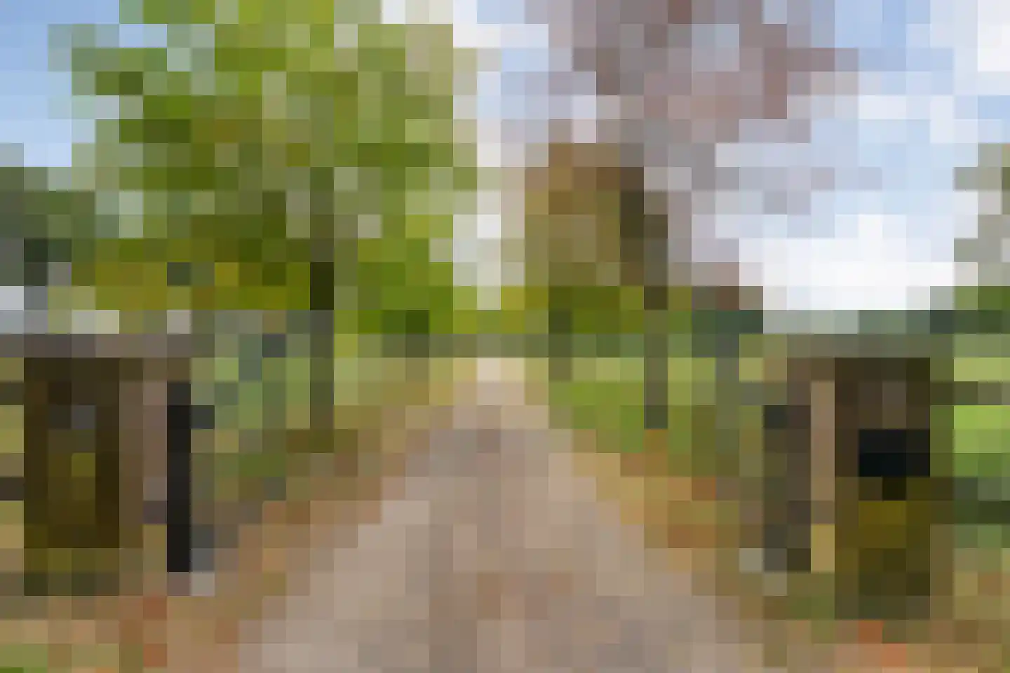 Nolderweg 4 Linde thumbnail 80