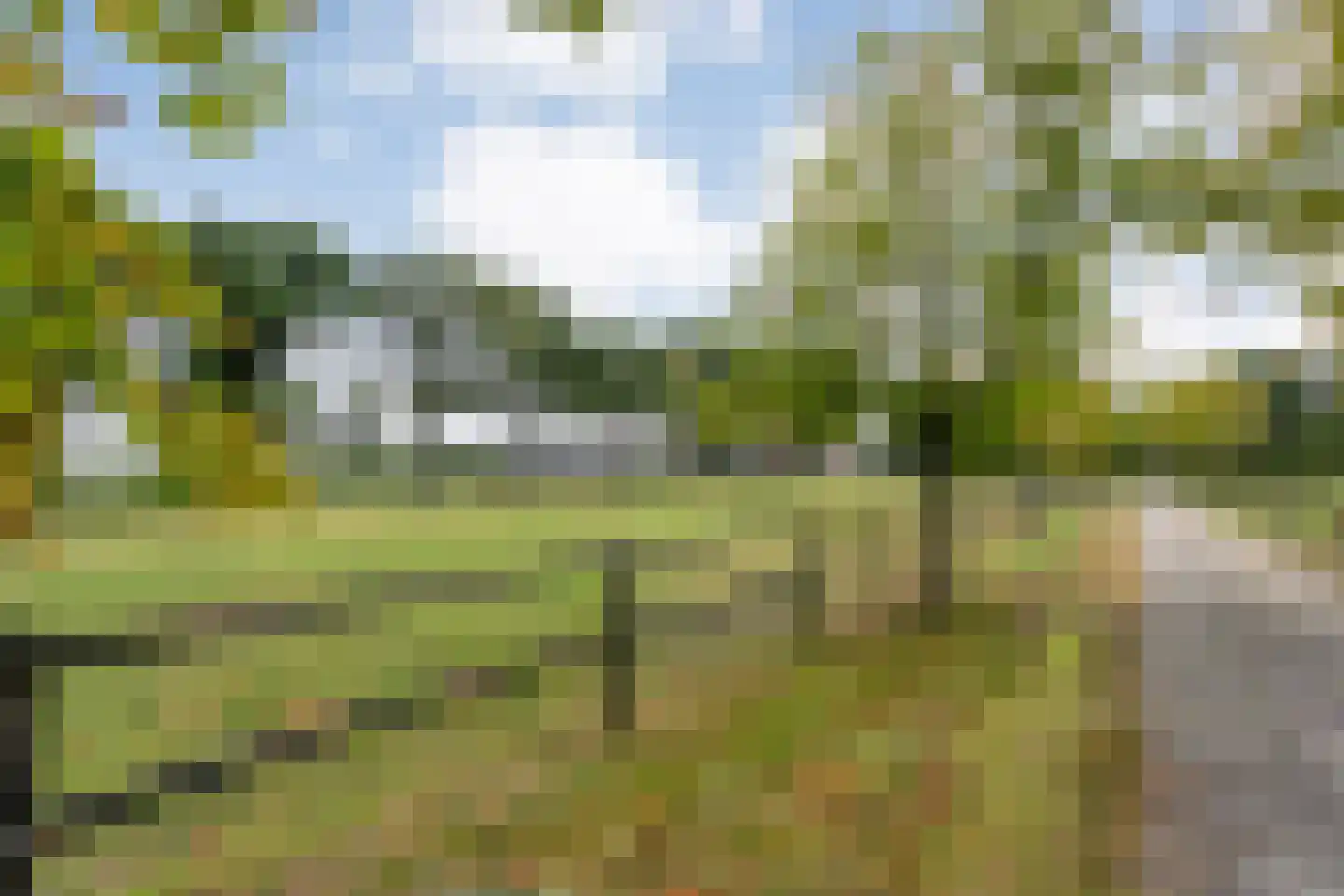 Nolderweg 4 Linde thumbnail 81