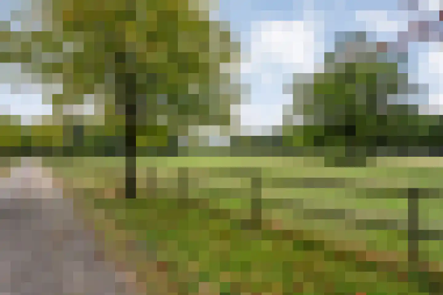 Nolderweg 4 Linde thumbnail 82