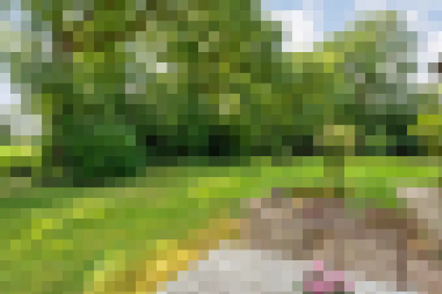Nolderweg 4 Linde thumbnail 85