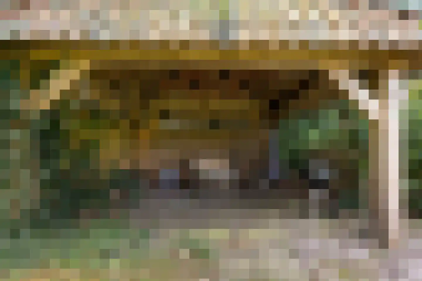 Nolderweg 4 Linde thumbnail 86