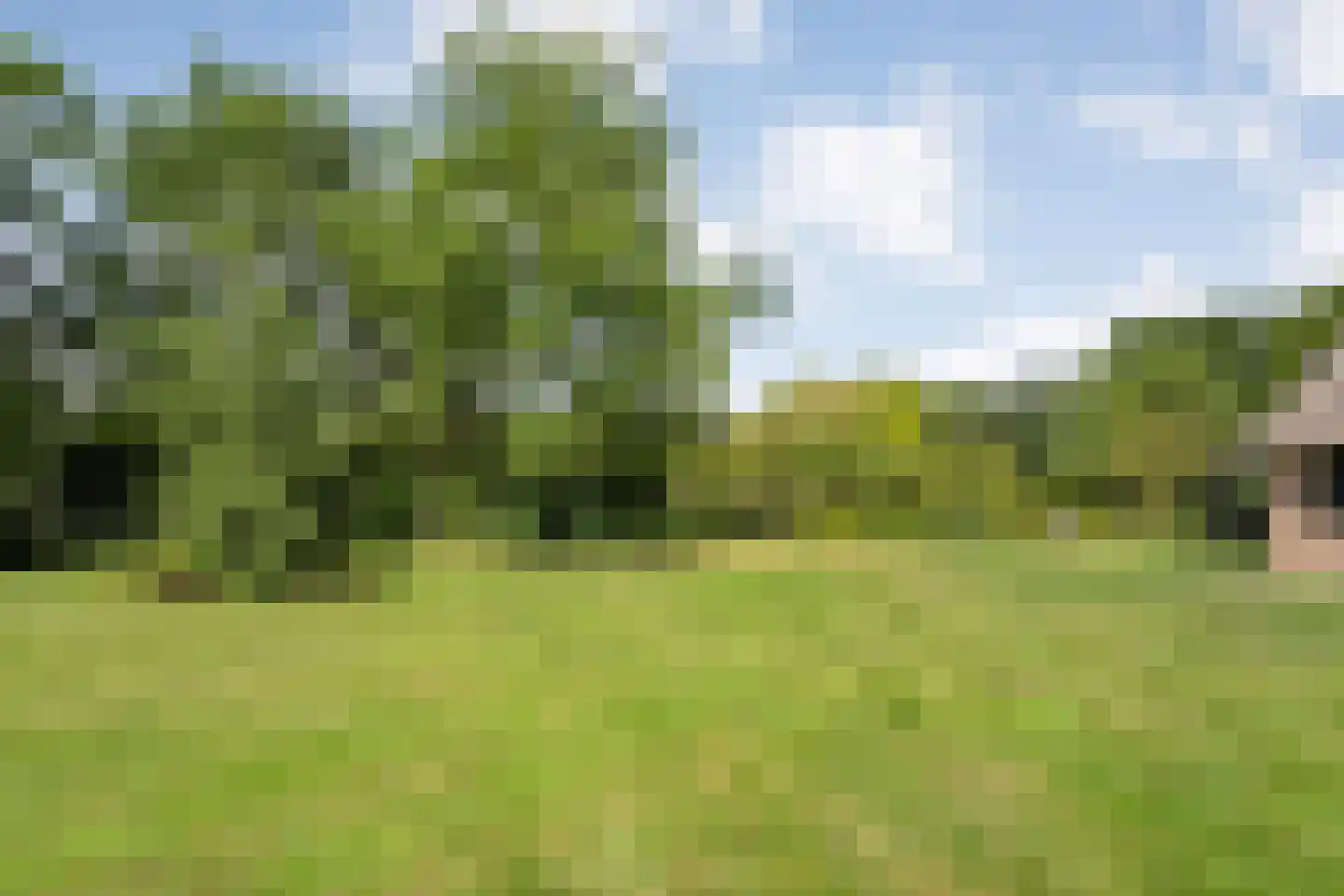 Nolderweg 4 Linde thumbnail 89
