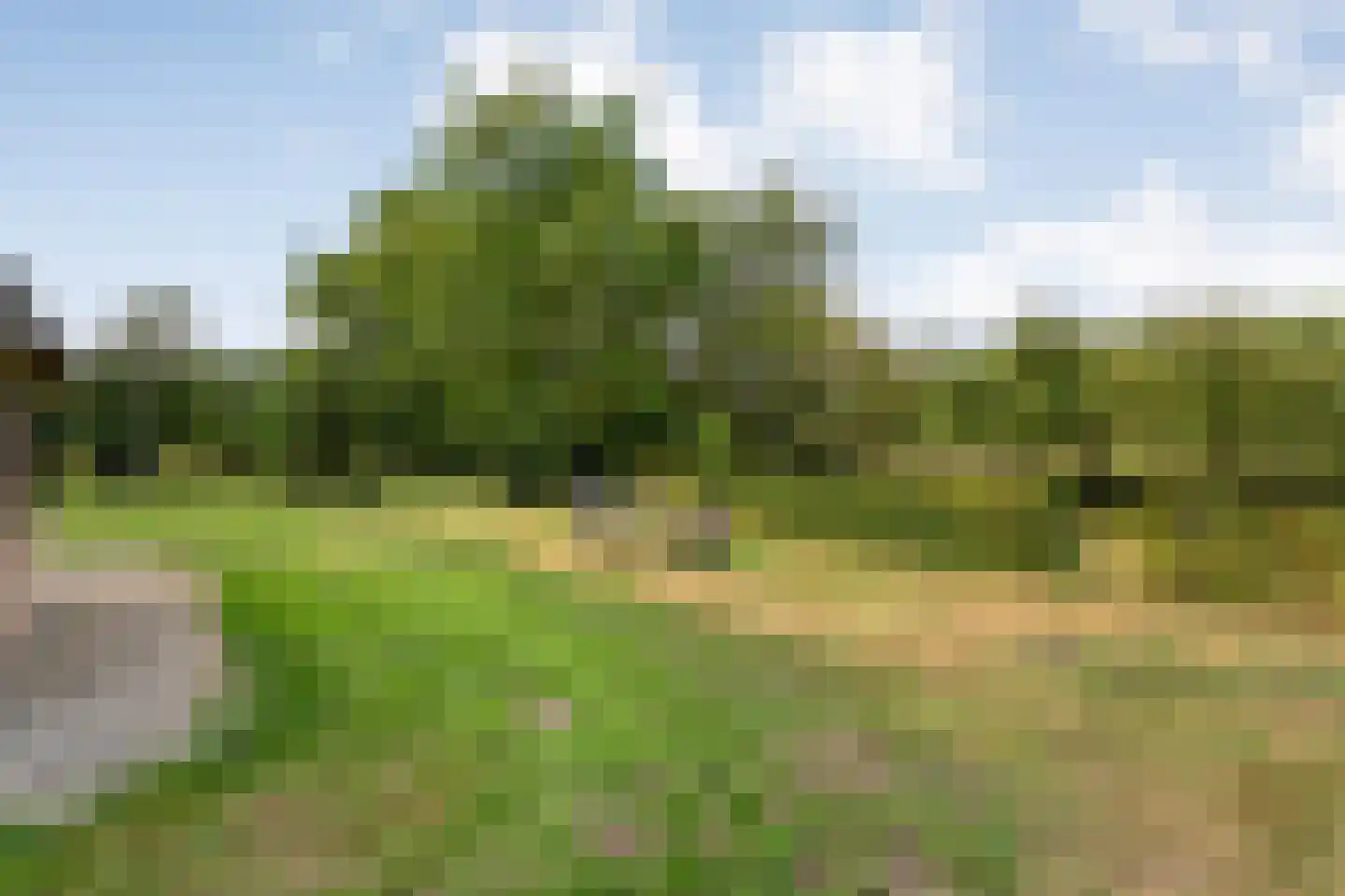 Nolderweg 4 Linde thumbnail 91