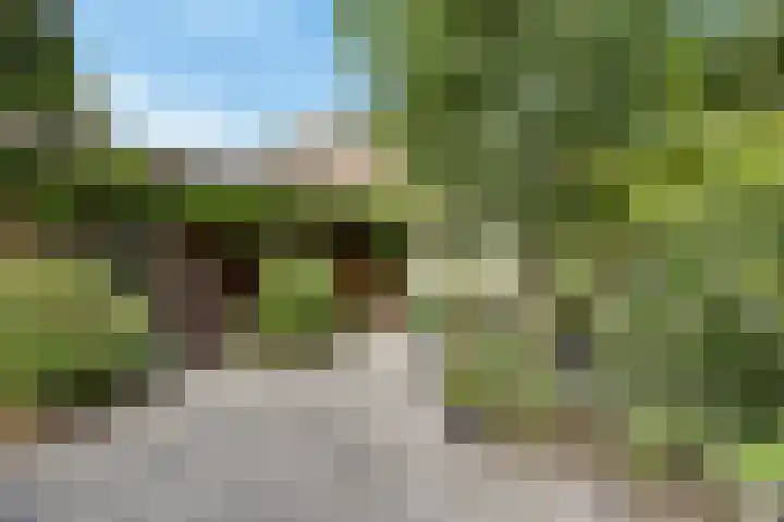 Noldijk 119 Barendrecht thumbnail 12