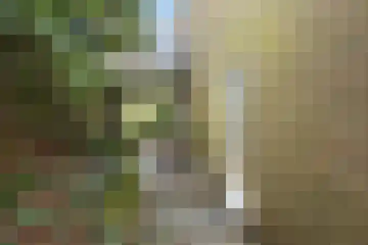 Noldijk 119 Barendrecht thumbnail 34