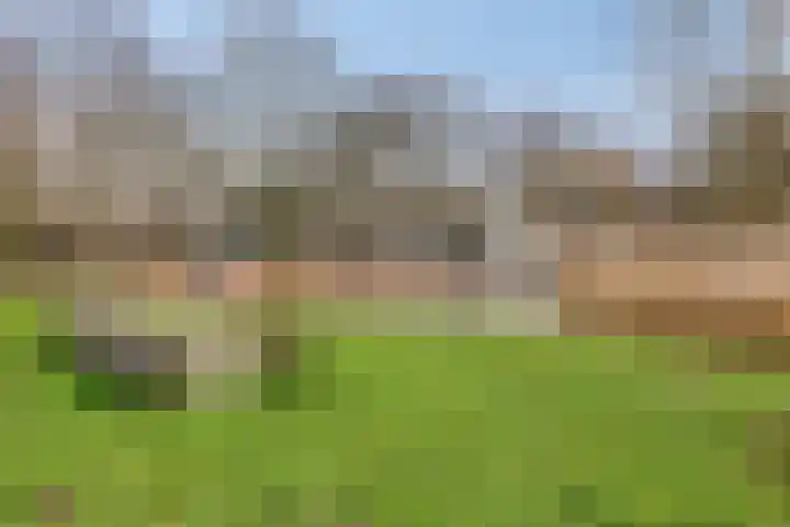 Noldijk 45 Ridderkerk thumbnail 34