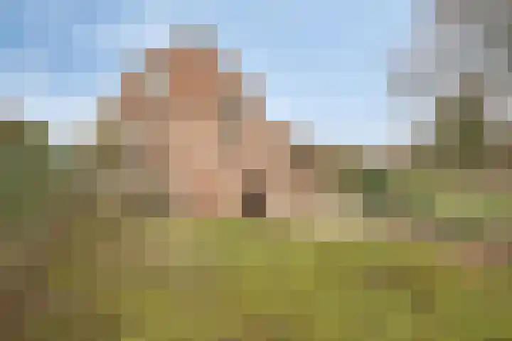 Noldijk 45 Ridderkerk thumbnail 6