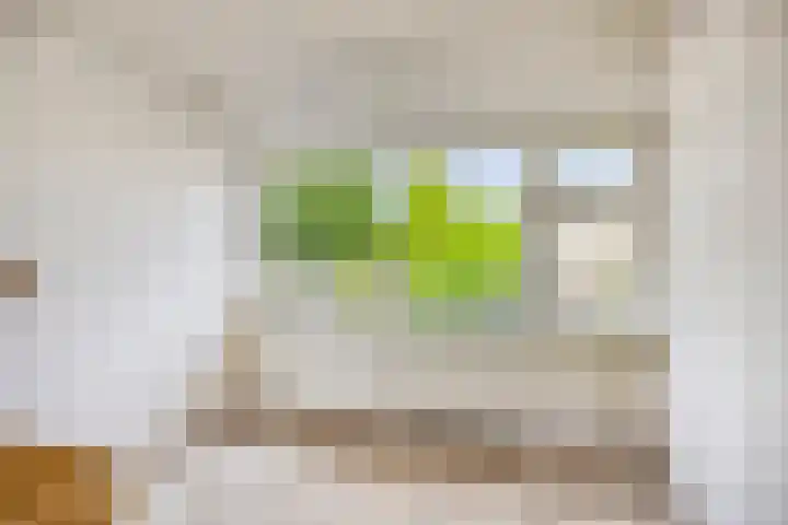 Nolensstraat 14 Oss thumbnail 22
