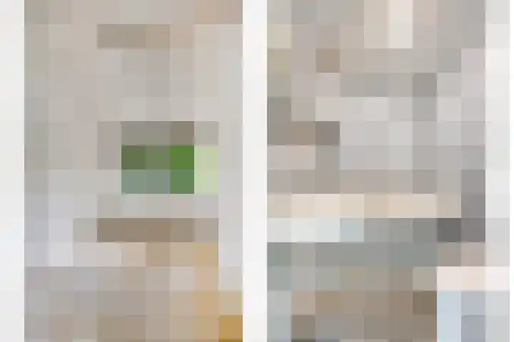 Nolensstraat 14 Oss thumbnail 24