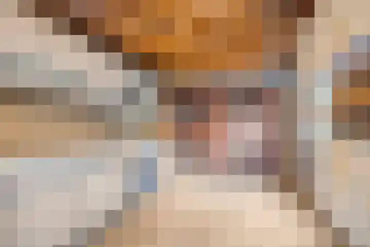 Nolensstraat 14 Oss thumbnail 29