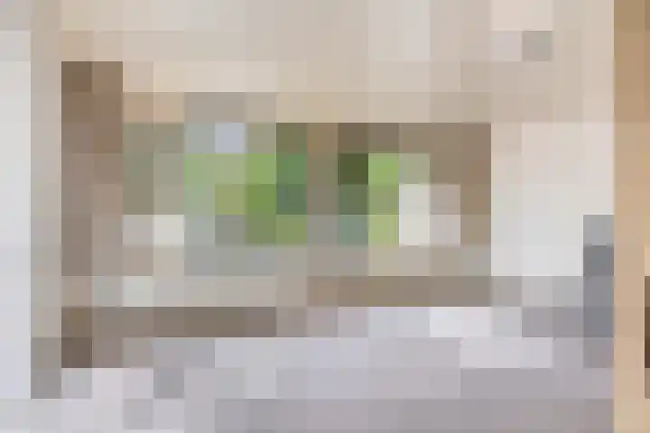 Nolensstraat 14 Oss thumbnail 9