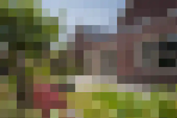 Nolensstraat 7 Wildervank thumbnail 43