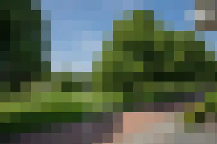 Nolensstraat 7 Wildervank thumbnail 55