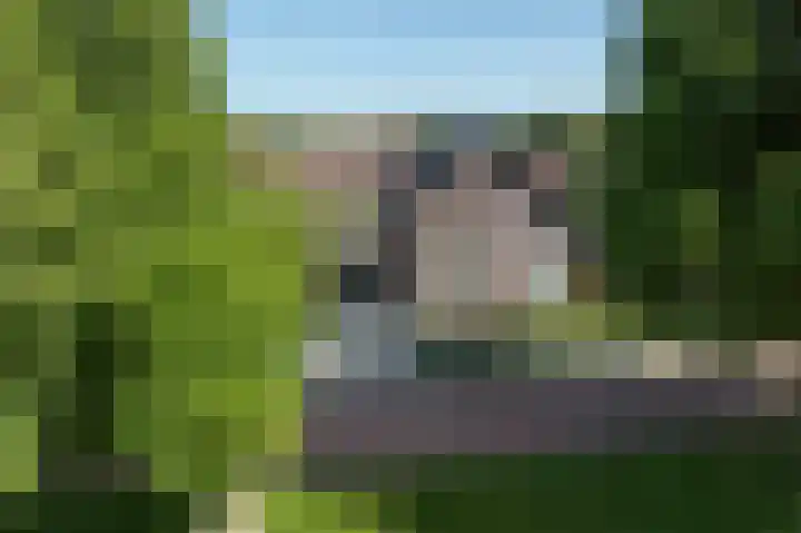 Nolensstraat 7 Wildervank thumbnail 67