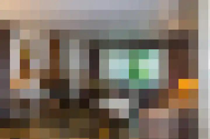 Nollaantje 55 Maasdijk thumbnail 5