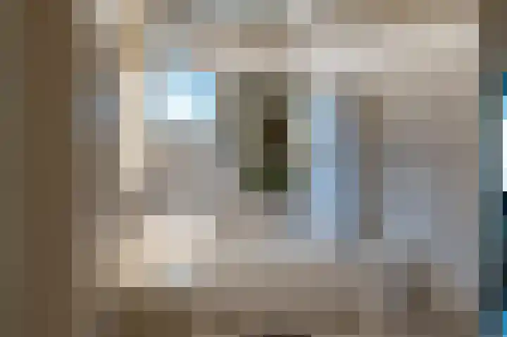 Nollaantje 55 Maasdijk thumbnail 8