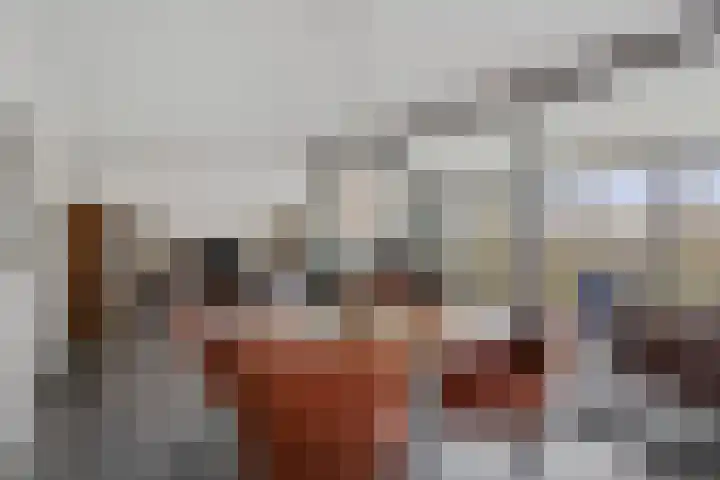 Nonnenveld 535 Breda thumbnail 13