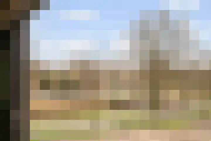 Nonnenveld 535 Breda thumbnail 20