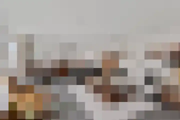 Nonnenveld 535 Breda thumbnail 4