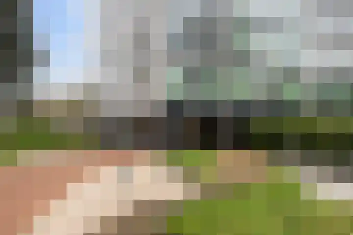 Nonnenveld 535 Breda thumbnail 43