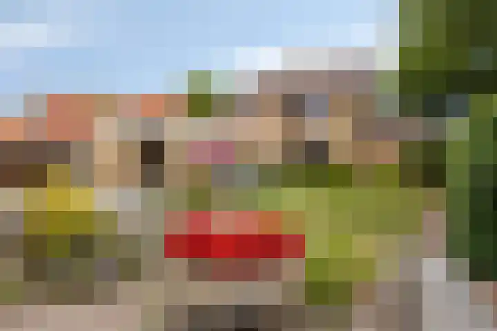 Nonnenveld 649 Breda thumbnail 12