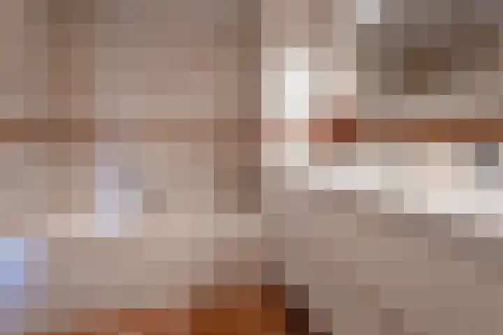 Nonnenveld 649 Breda thumbnail 22