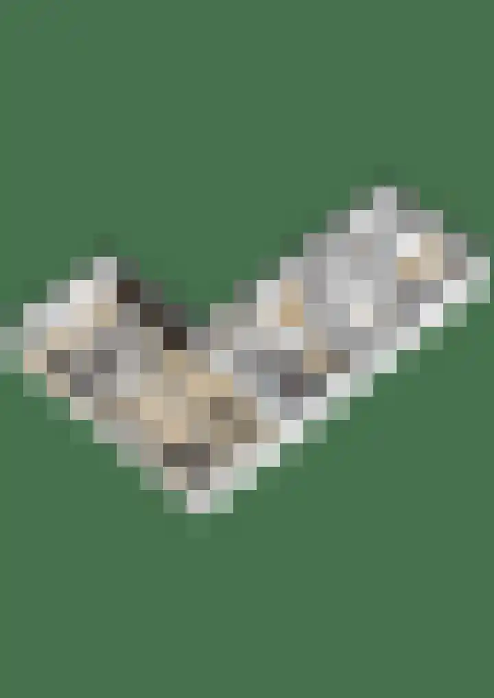 Nonnenveld 649 Breda thumbnail 30