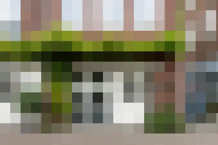 Nonnenwater 12 Gouda thumbnail 11