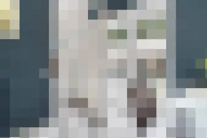 Nonnenwater 12 Gouda thumbnail 16