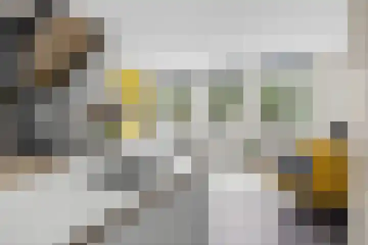 Nonnenwater 12 Gouda thumbnail 28