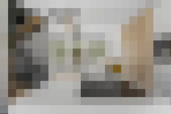 Nonnenwater 12 Gouda thumbnail 32