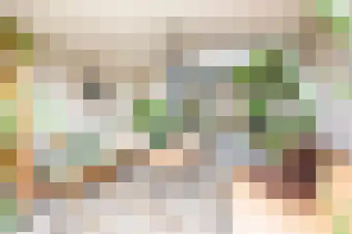 Nonnenwater 12 Gouda thumbnail 4