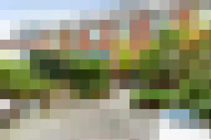 Nonnenwater 12 Gouda thumbnail 4