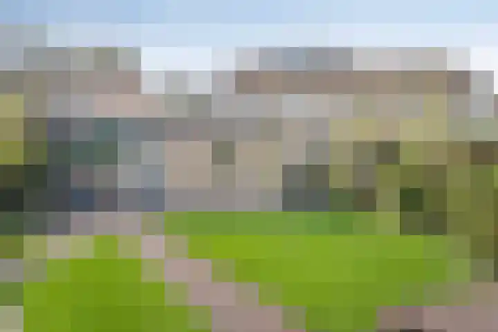 Nonnenwater 12 Gouda thumbnail 43