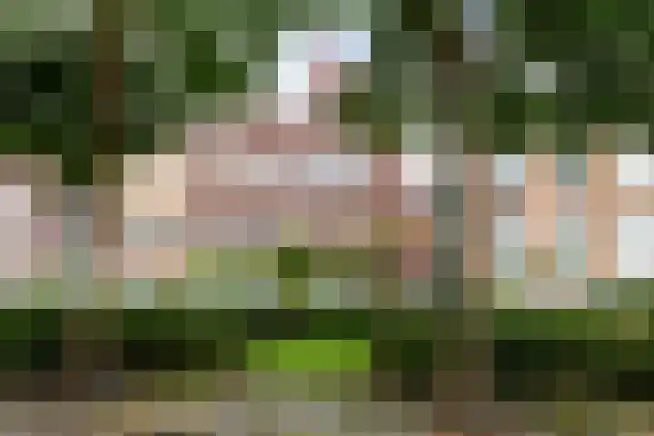 Nonnenwater 12 Gouda thumbnail 5