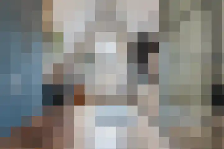Nonnenwater 12 Gouda thumbnail 51