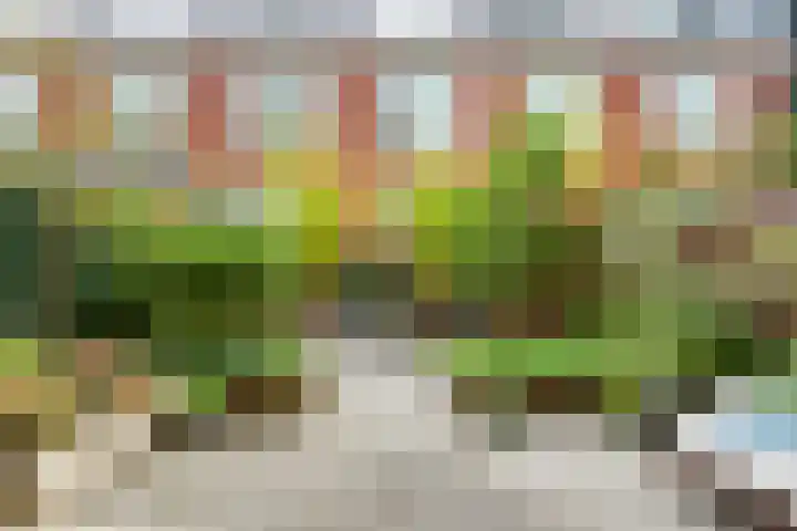 Nonnenwater 12 Gouda thumbnail 59