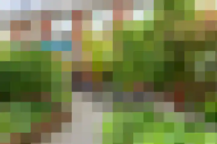 Nonnenwater 12 Gouda thumbnail 60