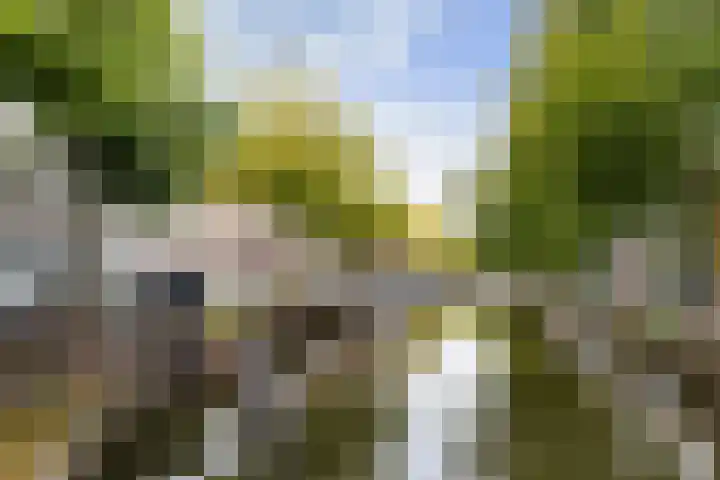 Nonnenwater 12 Gouda thumbnail 68