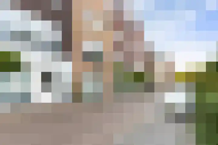 Nonnenwater 12 Gouda thumbnail 7