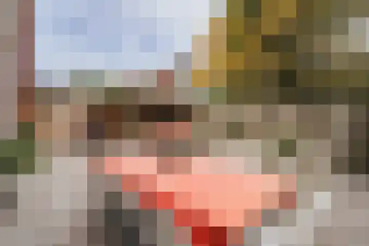 Nonnenwater 12 Gouda thumbnail 8