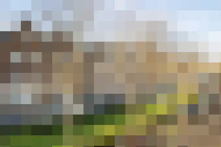 Nonnenwater 7 c Gouda thumbnail 18