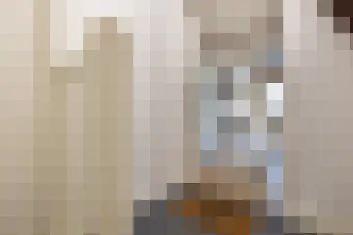 Nonnenwater 7 c Gouda thumbnail 6