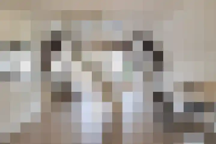 Nonnenwater 7 c Gouda thumbnail 8