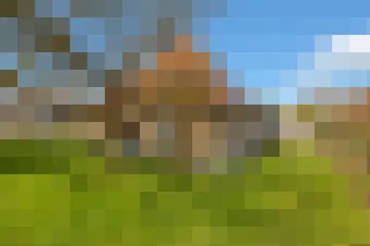 Noord 118 Schagen thumbnail 39