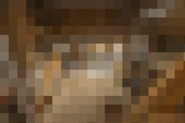 Noord 118 Schagen thumbnail 4