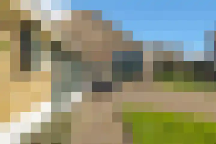 Noord 118 Schagen thumbnail 8