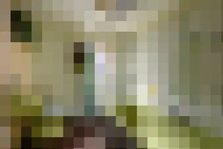 Noord 32 Franeker thumbnail 25