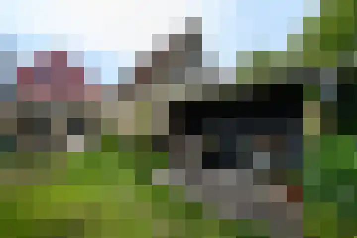 Noord 32 Franeker thumbnail 39